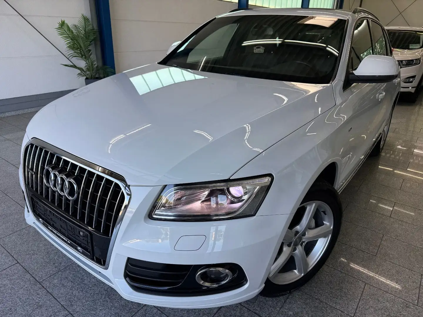 Audi Q5 2.0 TDI*S-LINE*QUATTRO*Bi-XN*PANO*NAV*STD-HZG Weiß - 1
