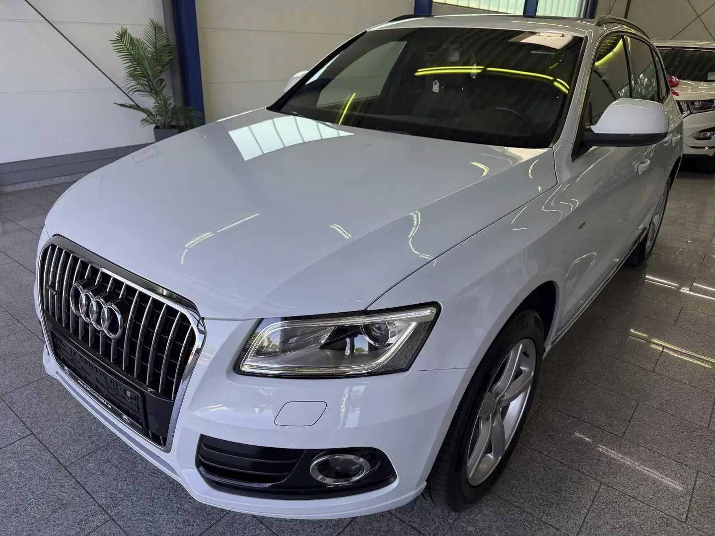 Audi Q5 2.0 TDI*S-LINE*QUATTRO*Bi-XN*PANO*NAV*STD-HZG Weiß - 2