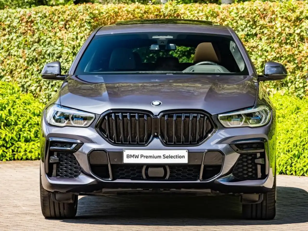 BMW X6 xDrive30d, миниатюра 2