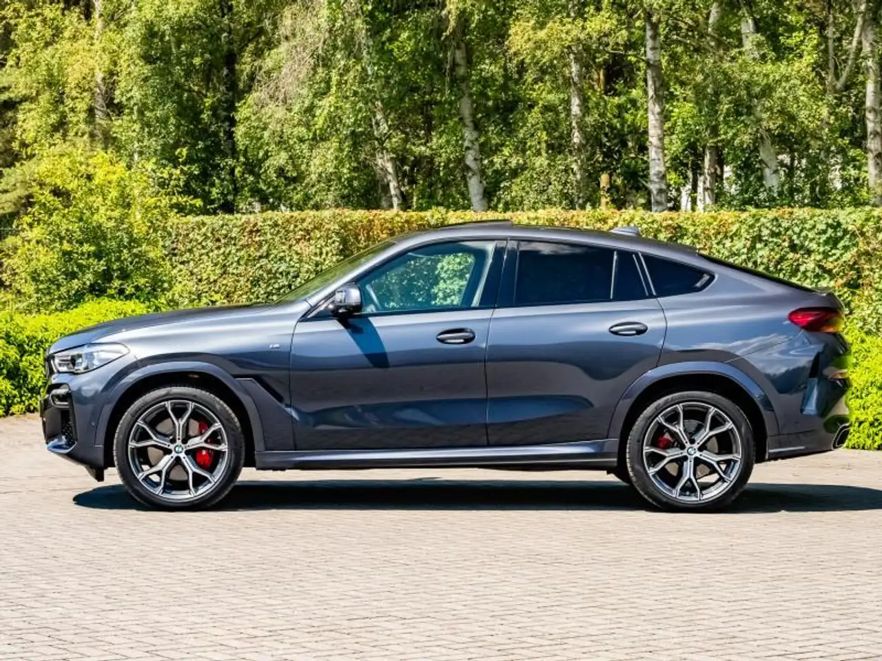 BMW X6 xDrive30d, миниатюра 3