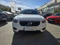 Volvo XC40 D3 Blanco - thumbnail 14