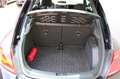 Volkswagen The Beetle 2.0 TSI  Sport Klimaautomatik PDC Sitzh Noir - thumbnail 18