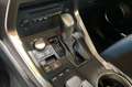 Lexus NX 300 300h Business Navigation 2WD Negro - thumbnail 20