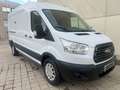Ford Transit FT 350 L2 Chasis Trend Tr. Tra. 130 Weiß - thumbnail 1