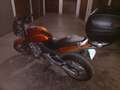 Honda Hornet 600 Arancione - thumbnail 2