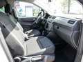Volkswagen Caddy 1.0 TSI 102 CV Comfortline Maxi Bianco - thumbnail 6