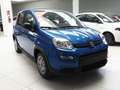 Fiat New Panda 1.0 FireFly Hybrid Bleu - thumbnail 8