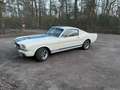 Ford Mustang GT350 Tribute Fastback Wit - thumbnail 3