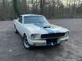 Ford Mustang GT350 Tribute Fastback Blanc - thumbnail 4