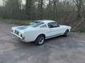 Ford Mustang GT350 Tribute Fastback Bianco - thumbnail 5