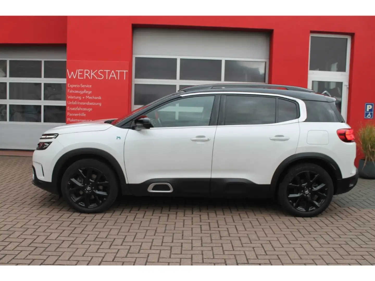 Citroen C5 Aircross Shine Pack Hy225 Dach AHK eSitz 360 Weiß - 2