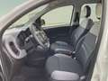 Fiat Panda 1.0 Gse City Live Hybrid Blanco - thumbnail 10