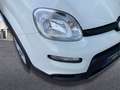 Fiat Panda 1.0 Gse City Live Hybrid Blanco - thumbnail 23