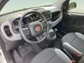 Fiat Panda 1.0 Gse City Live Hybrid Blanco - thumbnail 16
