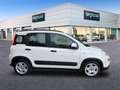 Fiat Panda 1.0 Gse City Live Hybrid Blanco - thumbnail 5