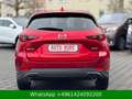 Mazda CX-5 Exclusive-Line KAMERA|AUTOM Rot - thumbnail 5