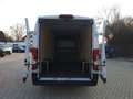 Fiat Ducato Kastenwagen 35 180 M L4H2 Klima Kamera Blanco - thumbnail 28