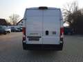 Fiat Ducato Kastenwagen 35 180 M L4H2 Klima Kamera Blanco - thumbnail 7