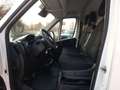 Fiat Ducato Kastenwagen 35 180 M L4H2 Klima Kamera Blanco - thumbnail 12