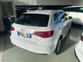 Audi A3 SPB 1.6 TDI clean diesel Business Bianco - thumbnail 3