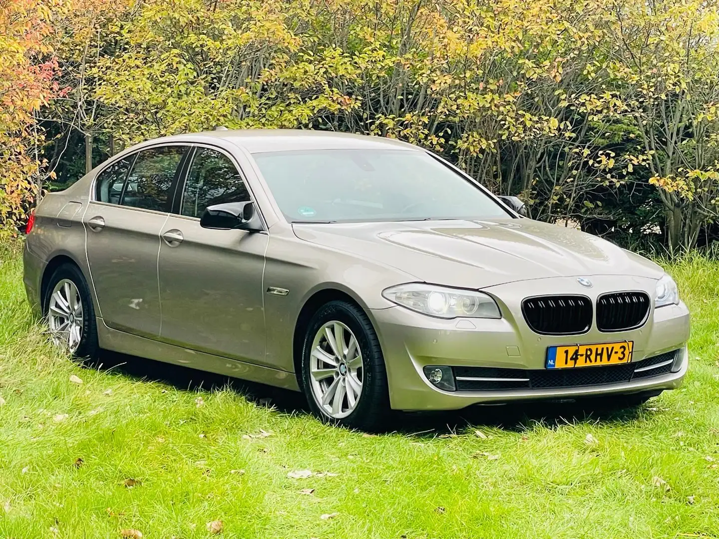 BMW 523 5-serie 523i Executive/Automaat/airco/Navi/Cruise/ Grau - 1