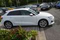 Audi A3 SB 35 2.0 TDI S-tronic advanced LED ACC Navi Blanc - thumbnail 6