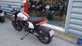 Ducati Scrambler Blanc - thumbnail 3