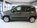 Fiat Panda Panda 1.0 firefly hybrid City Life Bianco - thumbnail 4