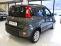 Fiat Panda Panda 1.0 firefly hybrid City Life Bianco - thumbnail 6