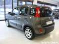 Fiat Panda Panda 1.0 firefly hybrid City Life Bianco - thumbnail 5