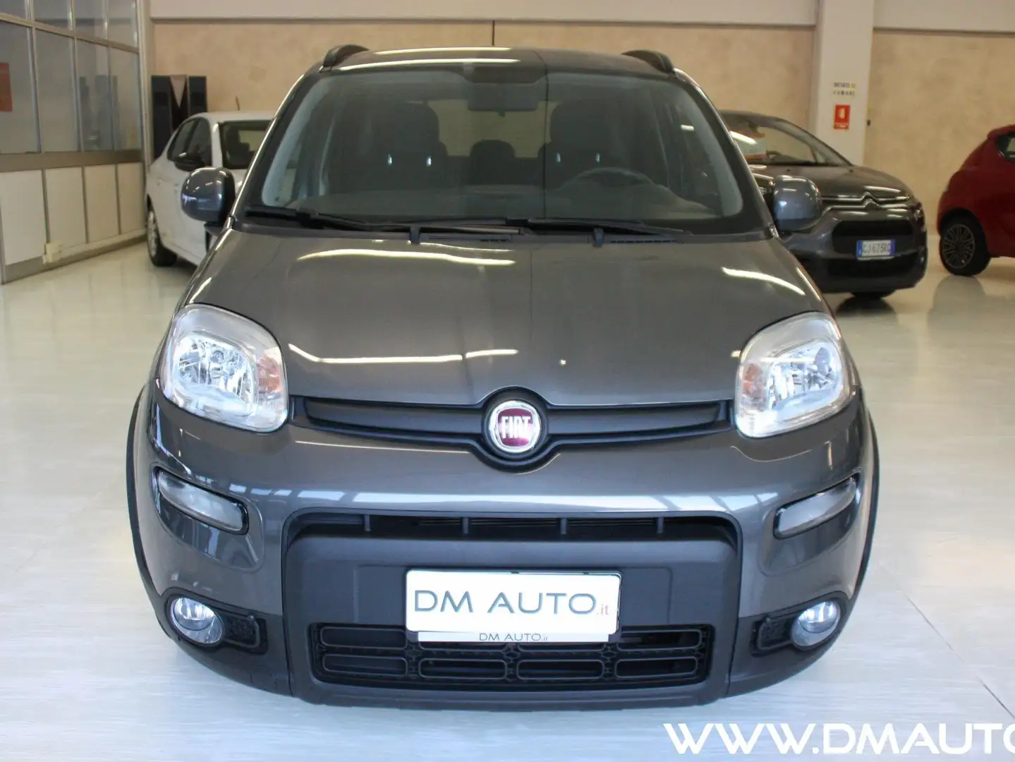 Fiat Panda Panda 1.0 firefly hybrid City Life Bianco - 2
