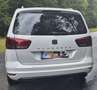 SEAT Alhambra Xcellence 2,0 TDI DSG Weiß - thumbnail 4
