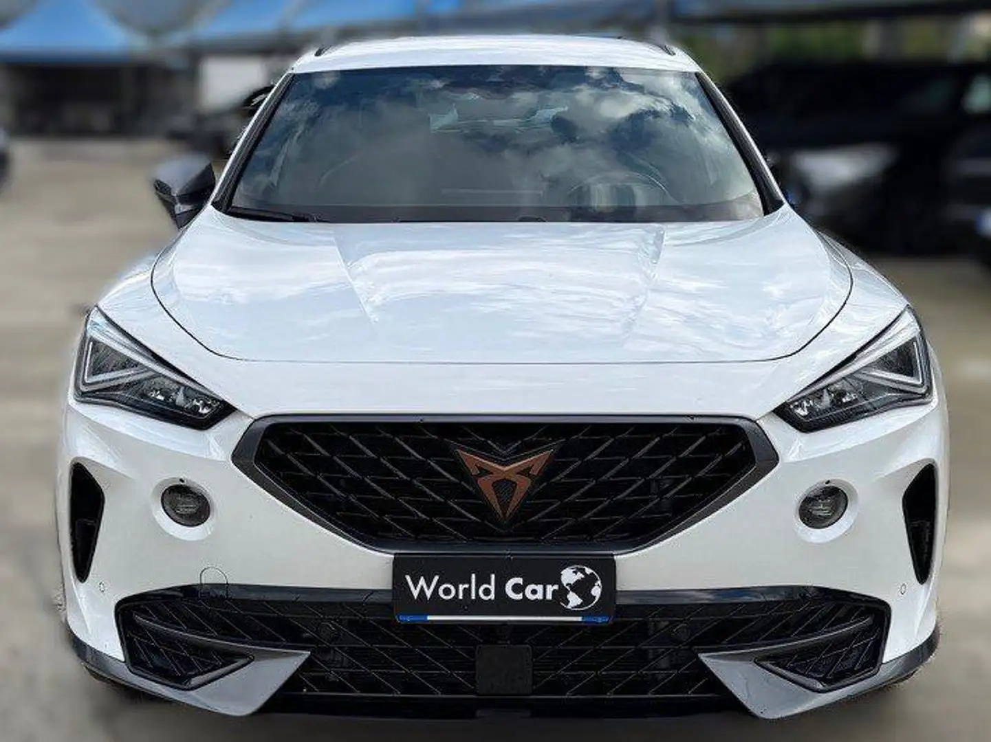 CUPRA Formentor 2.0 tdi Bianco - 1