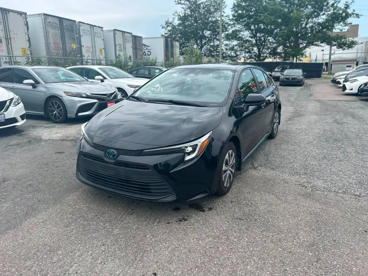 2023 Toyota Corolla