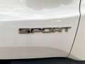 Jeep Renegade 1.6 E.TorQ Sport 4x2 Blanco - thumbnail 19
