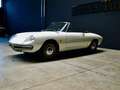 Alfa Romeo Spider 1.6 "OSSO DI SEPPIA", Conservata, a Pordenone. Bianco - thumbnail 2