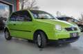 Volkswagen Lupo Basis *KEIN TÜV/8-fach bereift* Zielony - thumbnail 3