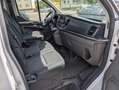 Ford Tourneo Custom 9 Sitzer Klima Neue Allwetter TÜV & Inspektion Blanc - thumbnail 14