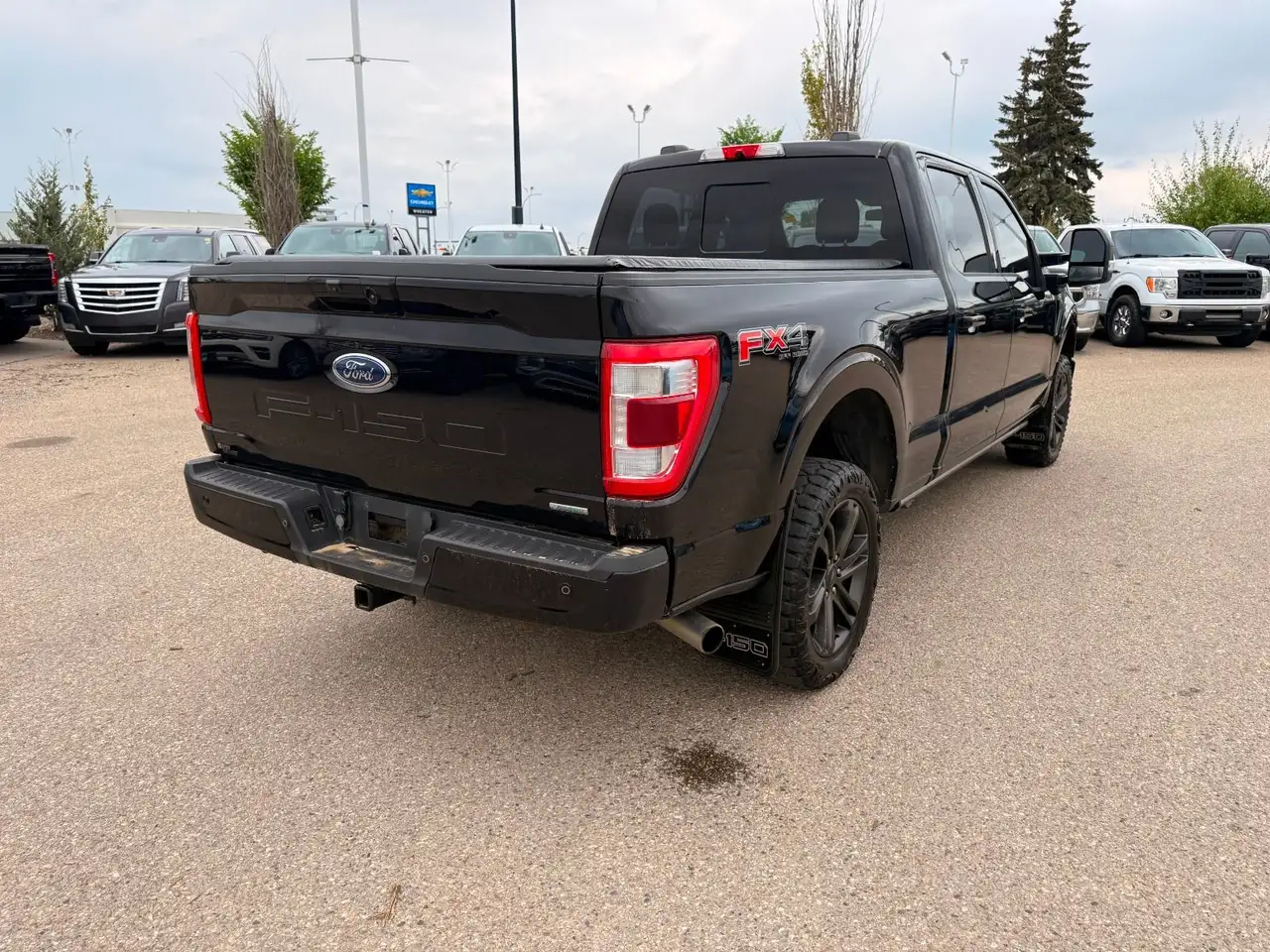Ford F 150 fotografie Ford F 150
