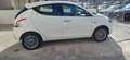 Lancia Ypsilon 1.3 MJT 90Cv gold Bianco - thumbnail 5
