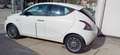 Lancia Ypsilon 1.3 MJT 90Cv gold Bianco - thumbnail 8