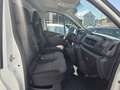 Fiat Talento Kasten L2H1 1,2t Basis -Klima/SHeft- Weiß - thumbnail 21