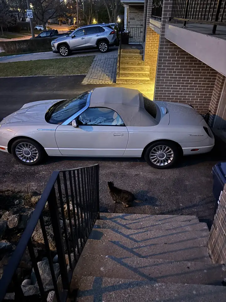 Ford Thunderbird снимка Ford Thunderbird