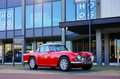 Triumph TR4 2.1 with tuned engine Rojo - thumbnail 50