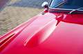 Triumph TR4 2.1 with tuned engine Rood - thumbnail 34