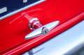 Triumph TR4 2.1 with tuned engine Rood - thumbnail 27