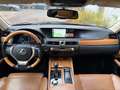 Lexus GS 450h Luxury Line+President*LexusGarantie*Apple*Night*V6 Schwarz - thumbnail 11