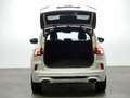 Ford Kuga 2.5 PHEV ST-LINE X AUTO 225 5P Blanco - thumbnail 8