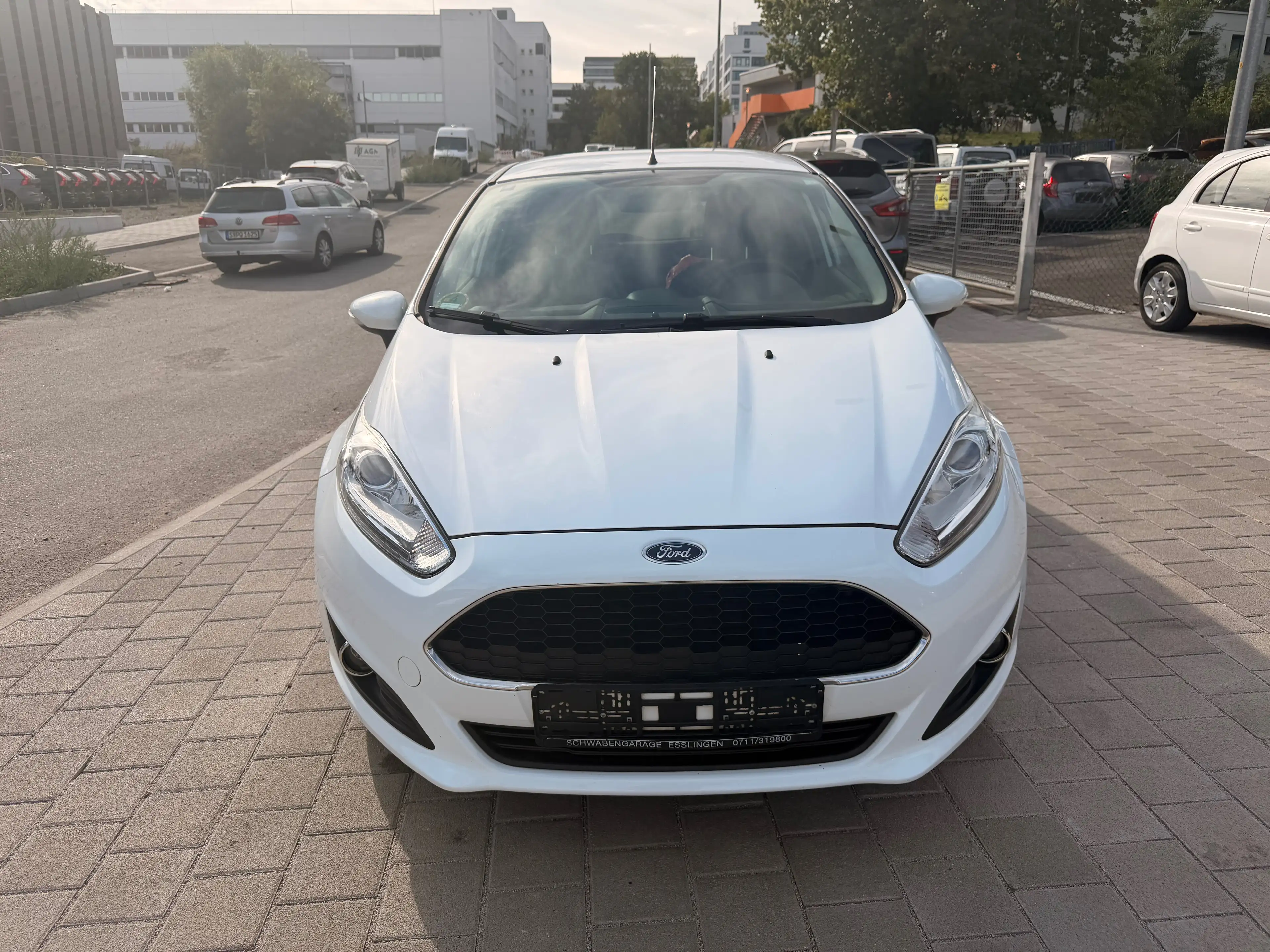 Ford Fiesta Celebration