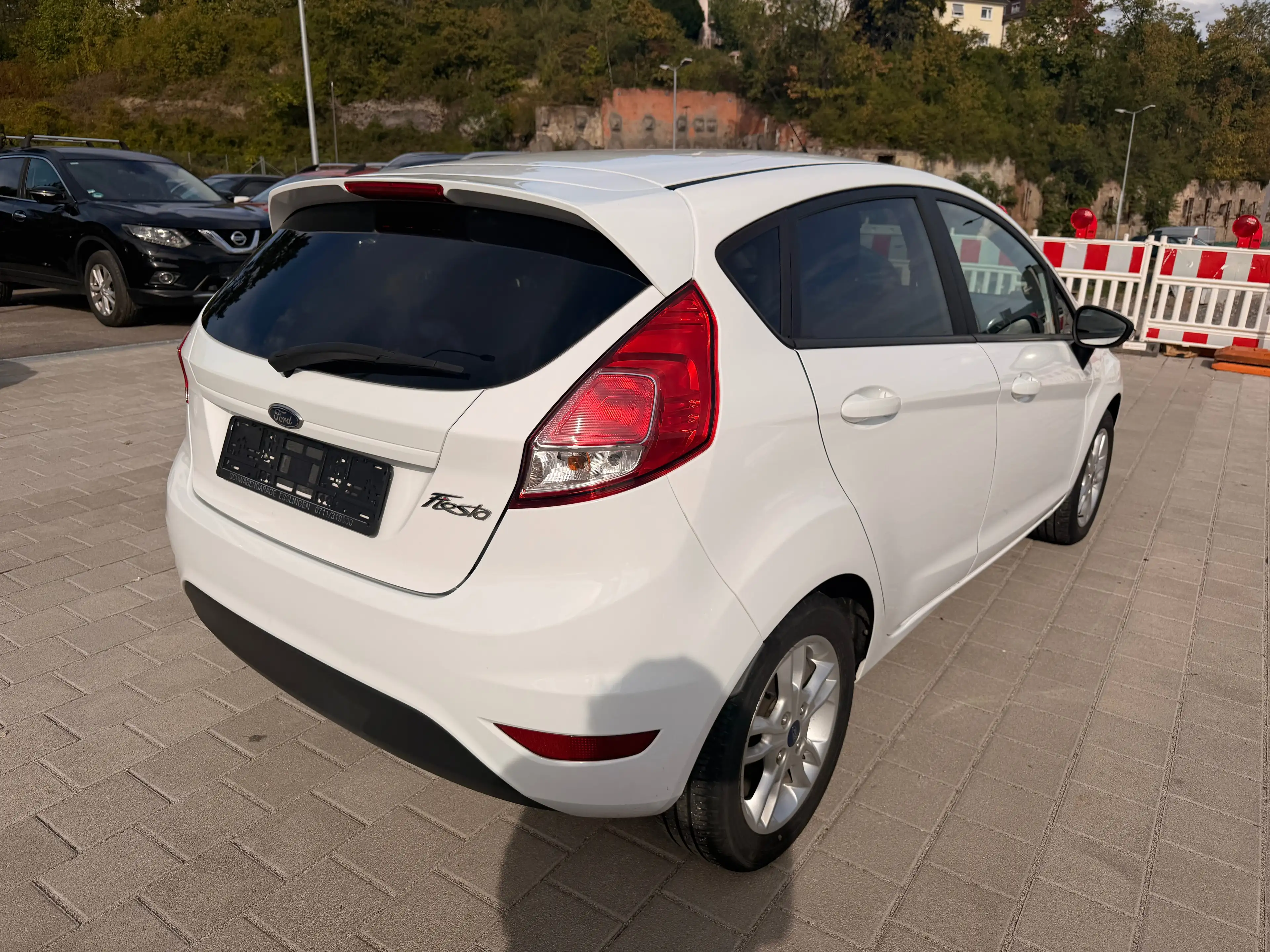 Ford Fiesta Celebration — photo 6
